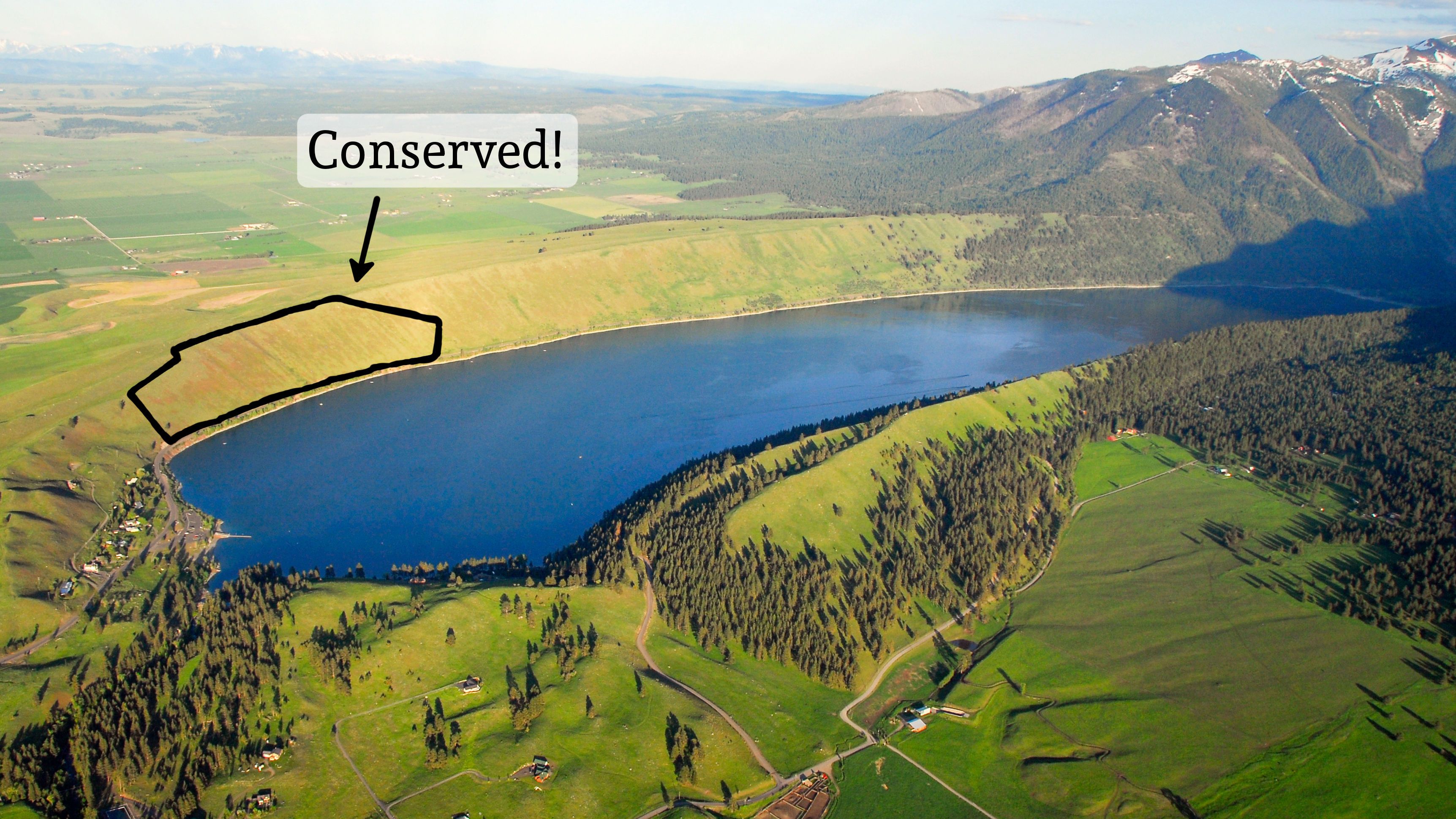 Ham Conservation Easement landscape