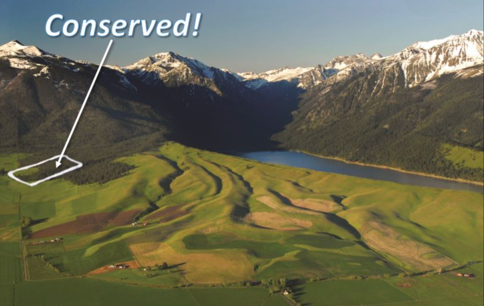 Lola-Hasslacher Conservation Easement landscape